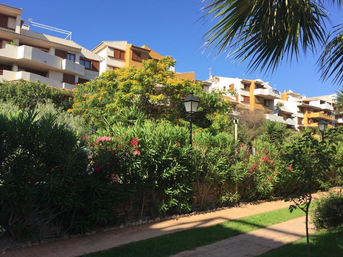 Torrevieja 200M From Sea Punta Prima Apartamento Alicante Exterior foto